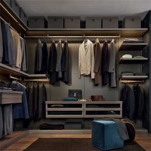 Contemporary Practical Large Storage Walk-In Closet